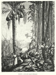 Mahmoudiyahin kanavan ranta, Egypti (litho)