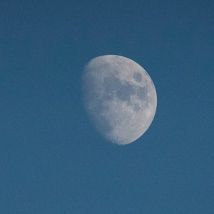 Look At The Moon, 2021 (kuva)