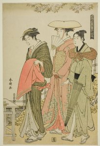 Flowers, de la sèrie "Neu, lluna i flors del món flotant (Ukiyo setsugekka)" finlandès tekijältä Katsukawa Shuncho