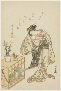 Nuori nainen häkkiapina kanssa (kalenterivedos uudelle vuodelle 1776) tekijältä Katsukawa Shunsho