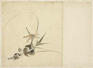 Hedelmäspray sudenkorennolla tekijältä Katsushika (school of) Hokusai