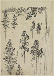 Maisema puiden kanssa tekijältä Katsushika Hokusai (possibly)