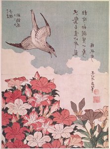 Atsaleat ja käki, julkaisija Eijudo, n. 1830 (väripuupainatus) tekijältä Katsushika Hokusai