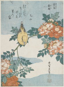 Mustanokkainen oriolis ja kiinanruusu, noin 1833. tekijältä Katsushika Hokusai