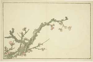Kukkiva luumupuu, teoksesta Hokusain realististen maalausten kuvakirja (Hokusai shashin gafu), noin 1814 (värillinen puupiirros (albumiarkki)). tekijältä Katsushika Hokusai