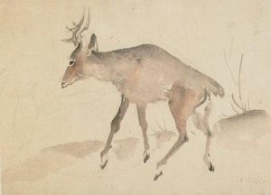 Hirvi, 1700-luvun loppu - 1800-luvun alku. tekijältä Katsushika Hokusai