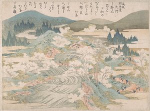 Kukkivat kirsikkapuut Yoshino-joen varrella tekijältä Katsushika Hokusai