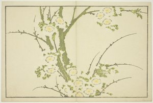Kukkia, teoksesta Hokusain realististen maalausten kuvakirja (Hokusai shashin gafu), noin 1814 (värillinen puupiirros (albumiarkki)). tekijältä Katsushika Hokusai