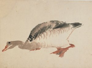 Hanhi, 1700-luvun loppu - 1800-luvun alku. tekijältä Katsushika Hokusai