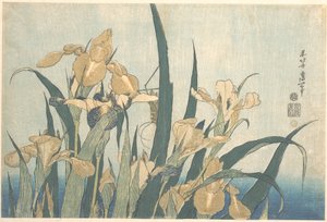 Heinäsirkka ja iiris tekijältä Katsushika Hokusai