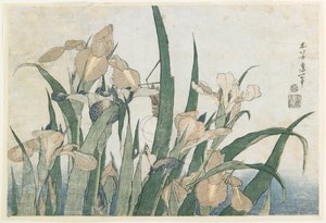 Iris Flowers and Grasshopper, n. 1830-31 (värillinen puupalikkaprintti)