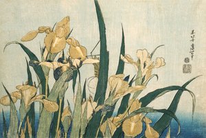 Irises with a Grasshopper, pub.1830 tekijältä Katsushika Hokusai