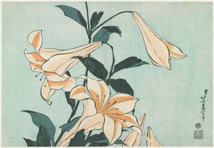 Liljat tekijältä Katsushika Hokusai