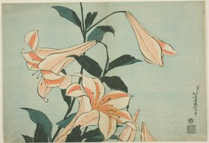 Liljat, nimettömästä Large Flowers -sarjasta tekijältä Katsushika Hokusai