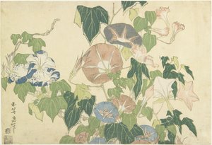 Morning Glories ja Tree Frog, nimettömästä sarjasta, joka tunnetaan nimellä Large Flowers, n. 1833-1834 (värillinen puupainatus) tekijältä Katsushika Hokusai