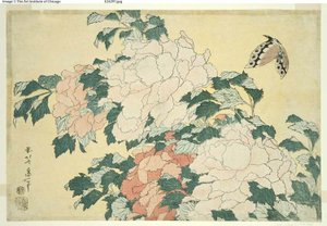 Pionit ja perhonen, nimettömästä suurten kukkien sarjasta tekijältä Katsushika Hokusai