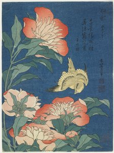 Pionit ja kanaria, n. 1833 tekijältä Katsushika Hokusai