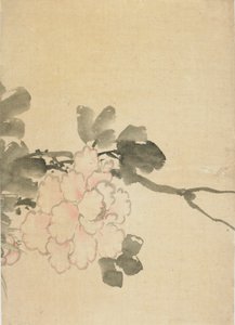 Peônia, final do século XVIII e início do século XIX. finlandês tekijältä Katsushika Hokusai