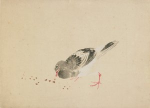 Kyyhkynen, 1700-luvun loppu - 1800-luvun alku. tekijältä Katsushika Hokusai