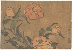 Tuulessa heiluvat unikonkukat tekijältä Katsushika Hokusai