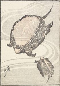 Sayama-ga-ike pon d -jäsen Musashi P Rovinse, 1817 tekijältä Katsushika Hokusai