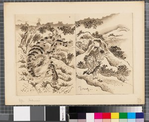 Kohtauksia Japanin ja Korean välisestä sodasta, 1700-luvun loppu-1900-luvun alkupuolisko (tussi ja pesu paperille). tekijältä Katsushika Hokusai