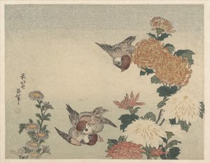 Varpuset ja krysanteemit tekijältä Katsushika Hokusai
