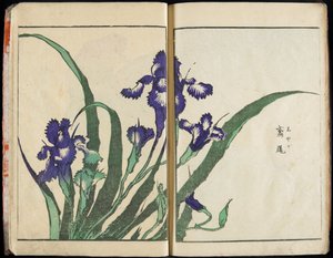 Hengen välittäminen ja asioiden muodon paljastaminen: Hokusain kuvapuutarha, osa 1, kokonaisuudessaan tekijältä Katsushika Hokusai
