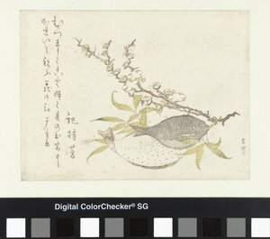 Kaksi kampelaa ja luumu tekijältä Katsushika Hokusai