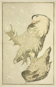 Kaksi vesilintua Hokusain realististen maalausten kuvakirjasta (Hokusai shashin gafu) tekijältä Katsushika Hokusai
