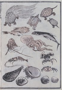 Vedenalaiset olennot Mangasta (värillinen puupalikkaprintti) tekijältä Katsushika Hokusai