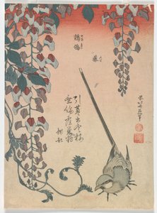 Wagtail ja Wisteria, Edo-kausi, 1834 (värillinen puupalikkaprintti) tekijältä Katsushika Hokusai