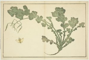 Ampiaisen ja nauris varsi, "The Picture Book of Realistic Paintings of Hokusai (Hokusai shashin gafu)" tekijältä Katsushika Hokusai