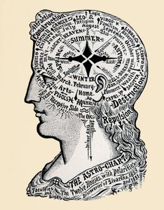 Kaavio ihmisen päästä ja hartioista. 1800-luku (kaiverrus)