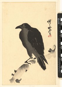 Varis puunrunkoon tekijältä Kawanabe Kyosai