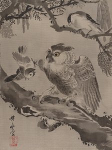 Pienten lintujen pilkaama pöllö, n. 1887.