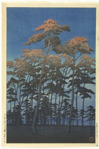 Hikawa Parkin jäsen Omiya