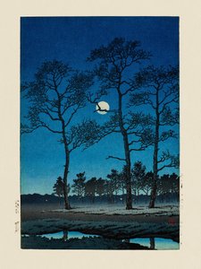 Talvikuu Toyamagaharalla (1931)