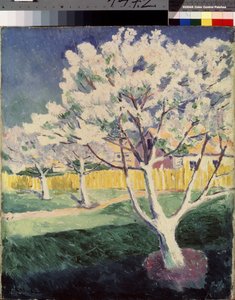 Kesäinen maisema. Maalaus: Kasimir Severinovich Malevich (Malevich, Malevic) (1878-1935), öljy kankaalle tekijältä Kazimir Severinovich Malevich