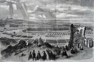 Hänen majesteettinsa Rifle Volunteersin arvostelu, 1860