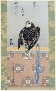 Falcon - Itaya Keishiun silkkimaalaus tekijältä Keishu Hiromasa Itaya