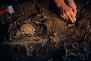 Dmanisi, Georgia, David Lordkipanidze, Homo Erectus, Georgia tekijältä Kenneth Garrett