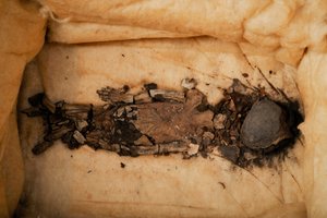 Sikiömuumio, Kuningas Tutin lapsi, Sikiö 1, nainen, KV62, tällä hetkellä Qasi Aini Ho..., 2009 (kuva)