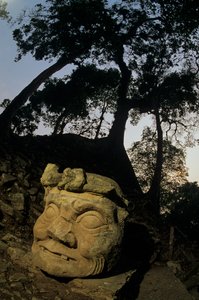 Jumala N, Ceiba-puu, temppeli, Maya, Copan, Honduras, klassinen kausi tekijältä Kenneth Garrett
