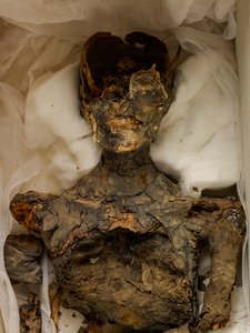 mm7864; 18. dynastia; Uusi valtakunta; Egypti; Egyptin museo; Kairo; muumio; Valley o..., 2009 (kuva) tekijältä Kenneth Garrett