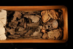 mm7864; Tutankhamon; 18. dynastia; Uusi valtakunta; Egyptin museo; Kairo; DNA; näytteenotto..., 2005 (kuva) tekijältä Kenneth Garrett