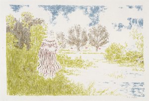 Femme en robe a rayeurs (Nainen raidallisessa mekossa), 1899-1900 (värilitografia) tekijältä Ker Xavier Roussel