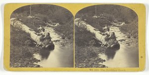 The Babbling Brook, 185575. Tekijät: Kilburn Brothers, BW Kilburn.