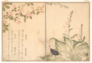  tekijältä Kitagawa Utamaro