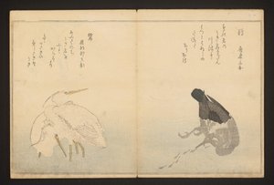 Merimetso ja haikara tekijältä Kitagawa Utamaro